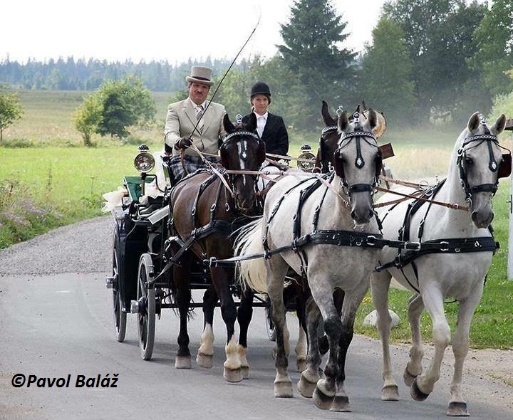 Kočiarové múzeum a jazdecké zážitky Poprad - Matejovce